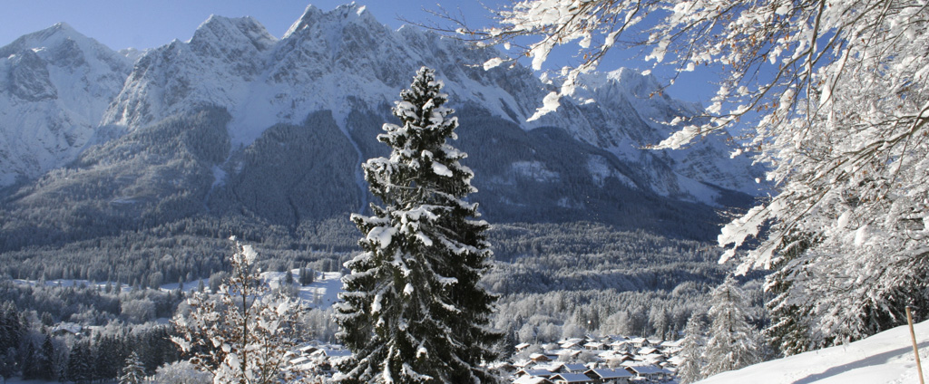 Bild1