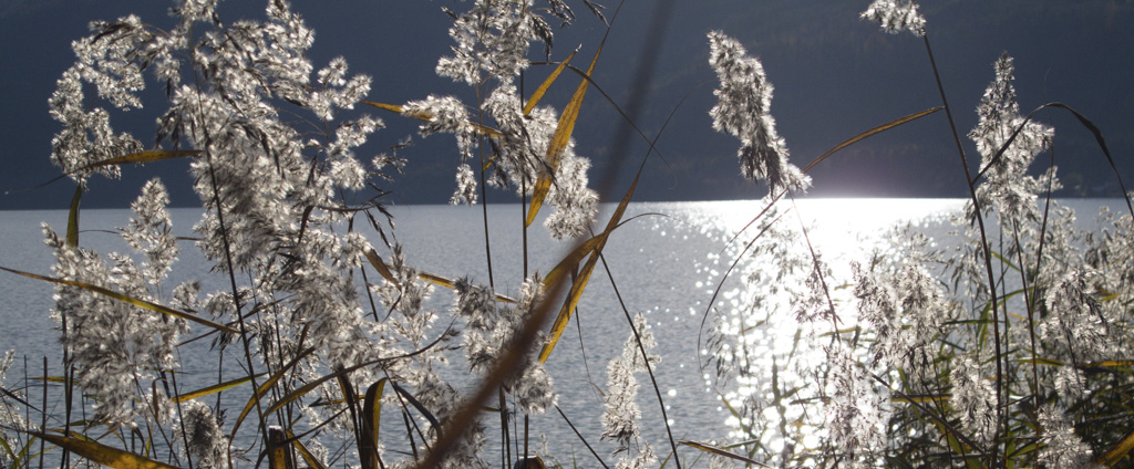 Bild5